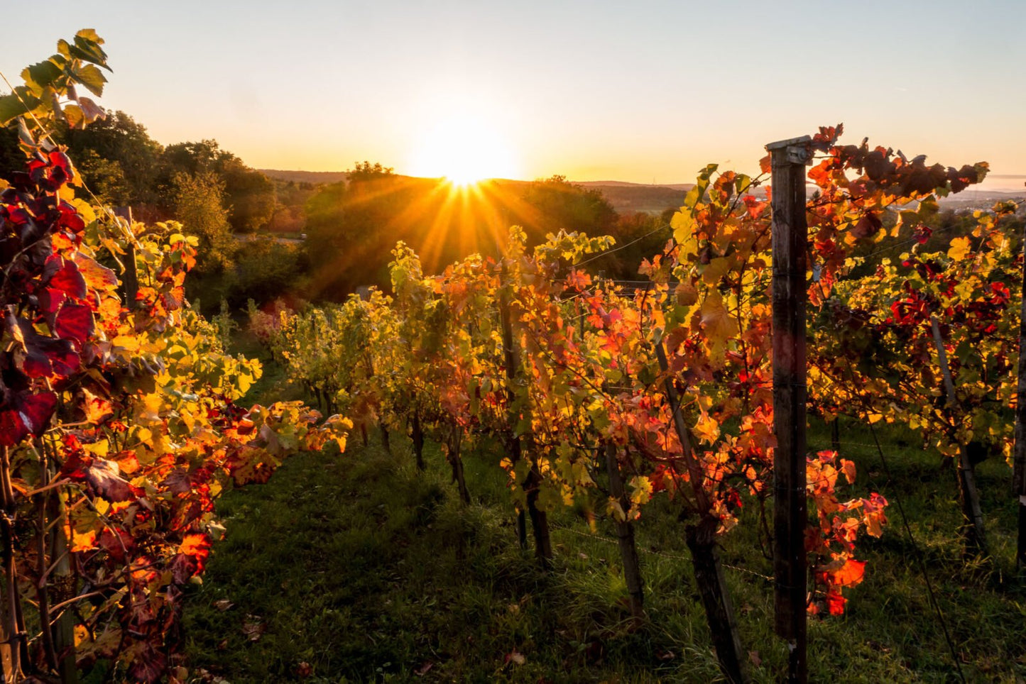Deposit Franken Autumn Wine Weekend